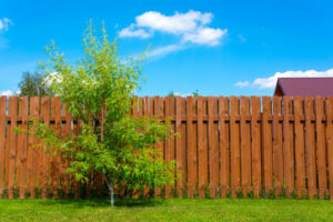 Fencing Services